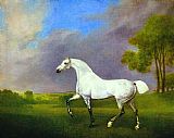 A Grey Horse by George Stubbs